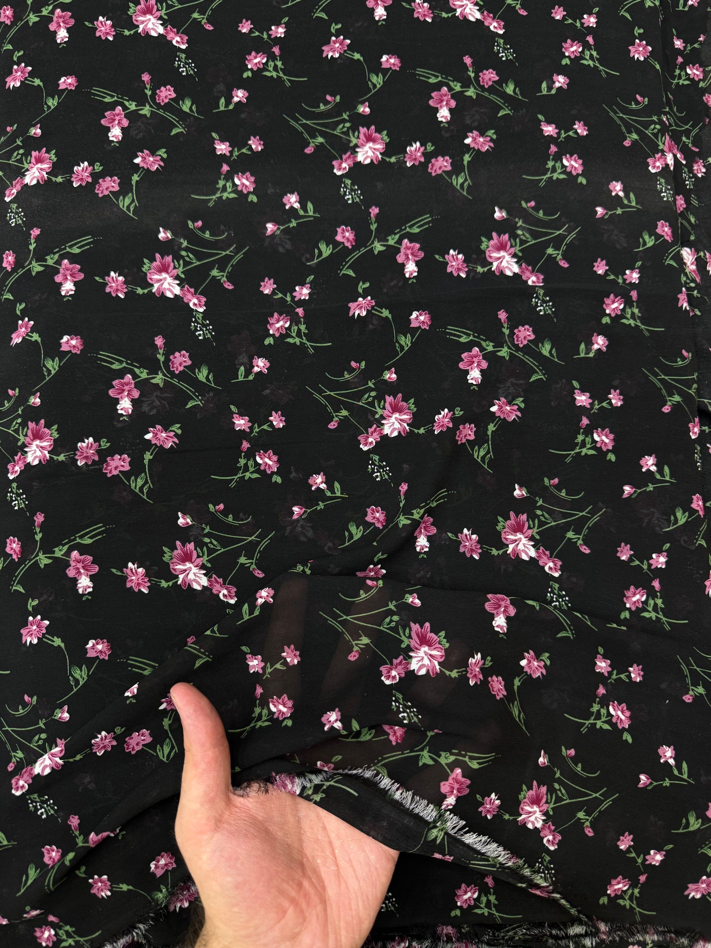 China Chiffon 14