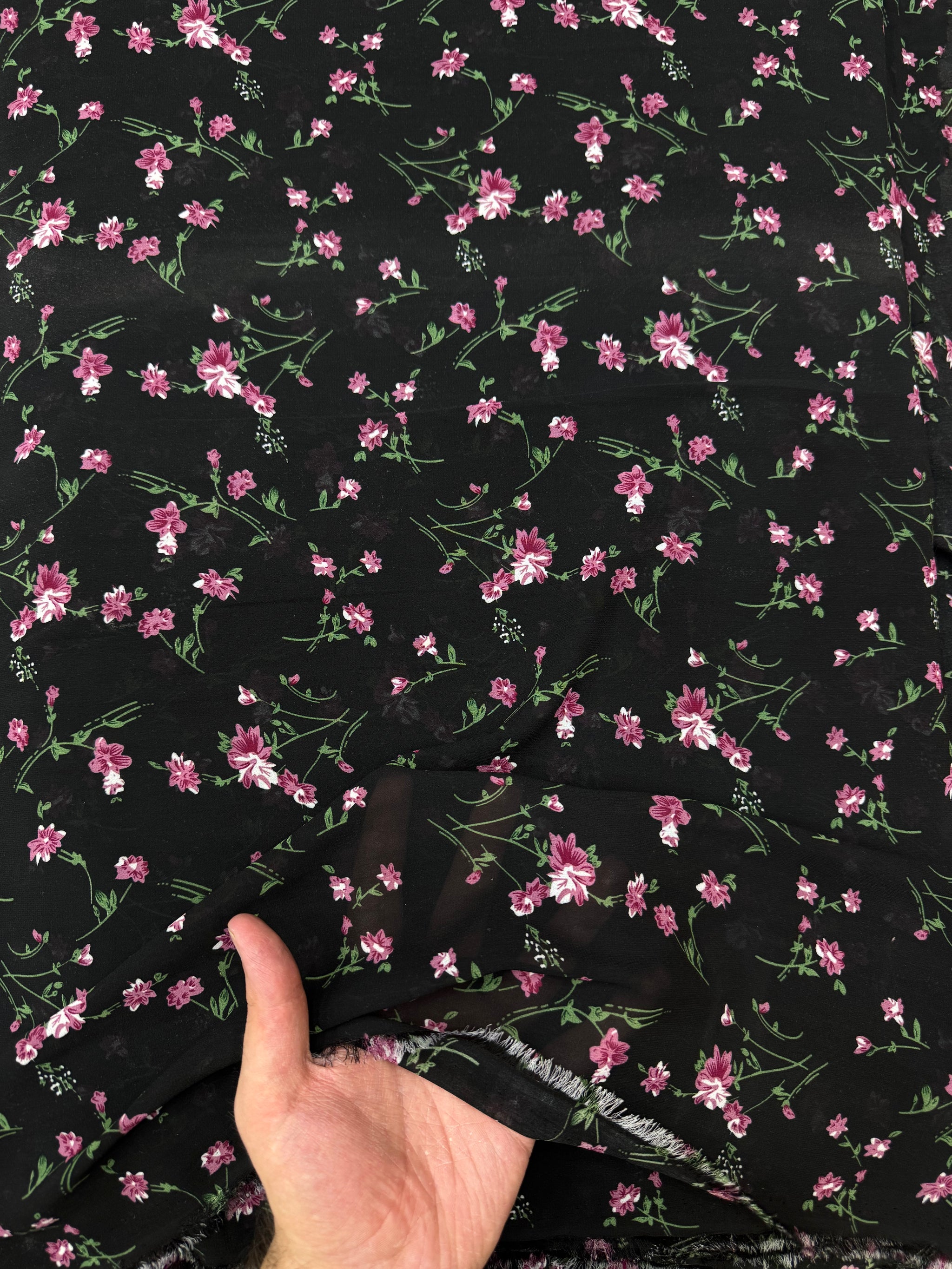 China Chiffon 14