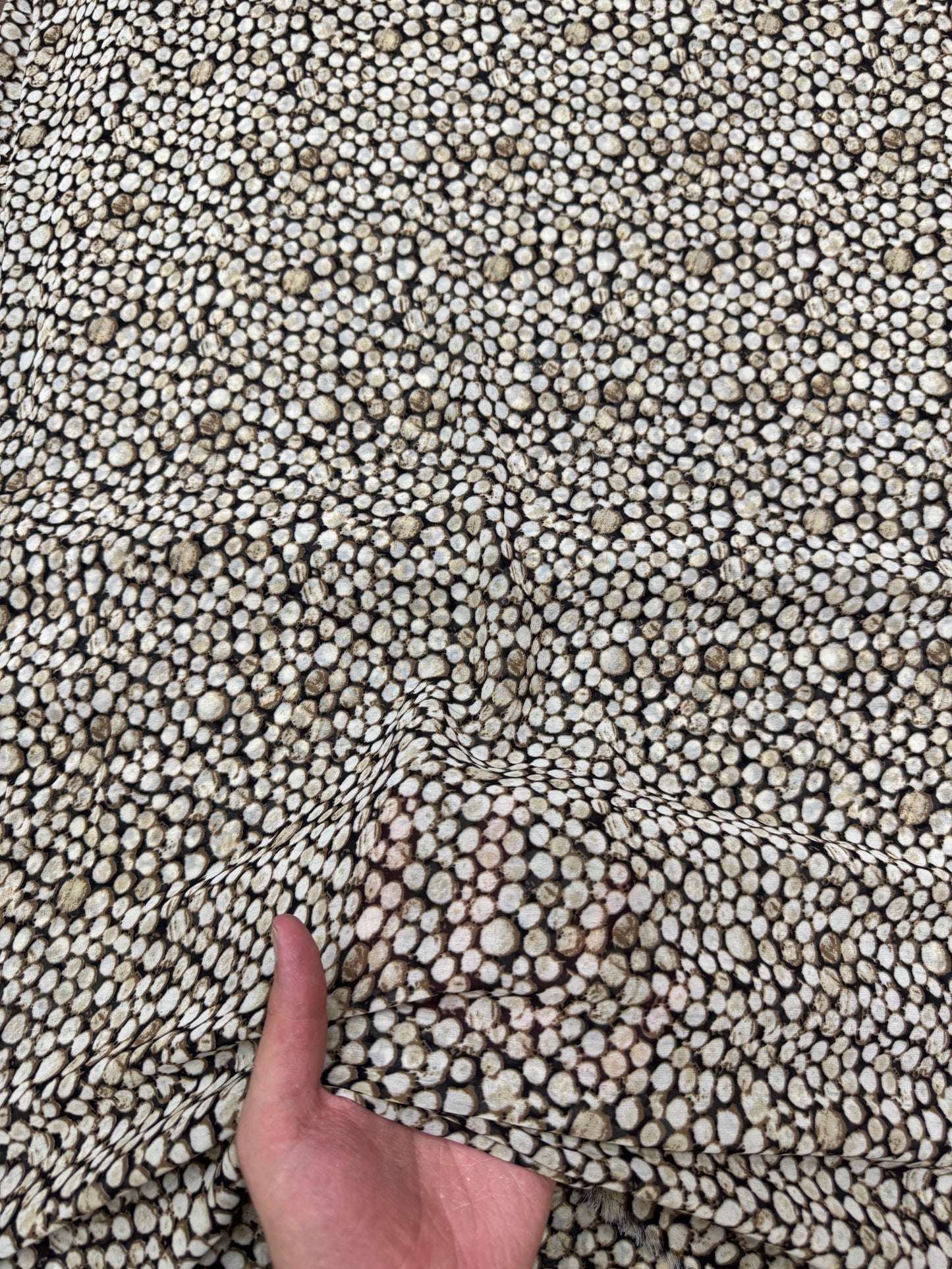 China Chiffon 22