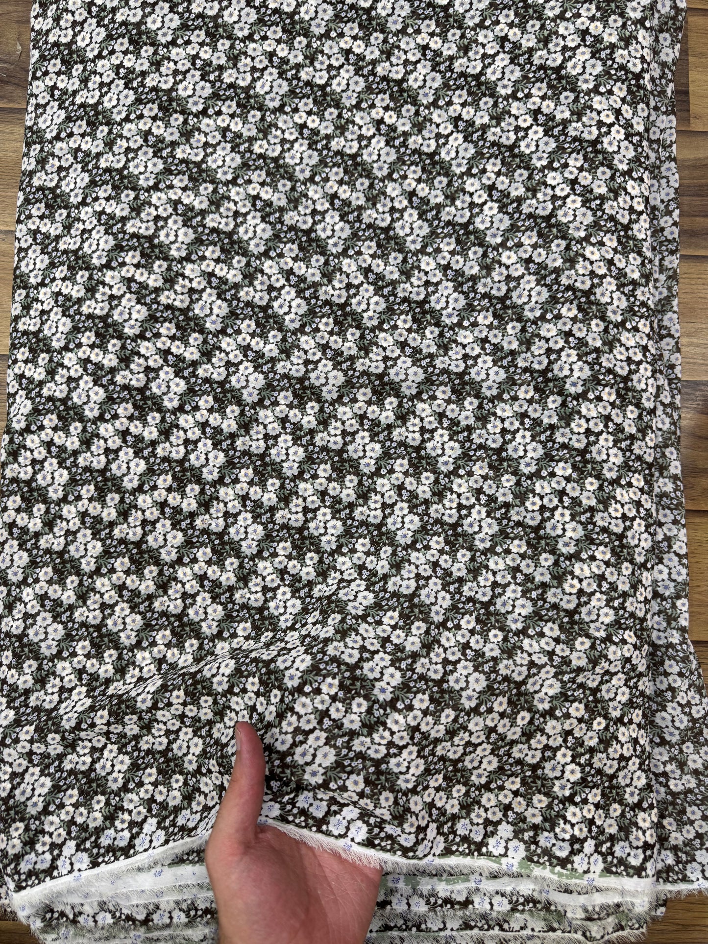 China Chiffon 23